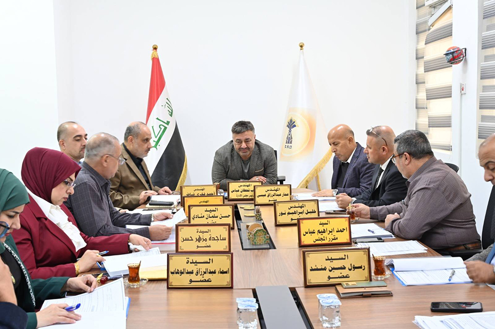 Eleventh meeting of the company's board of directors 2025