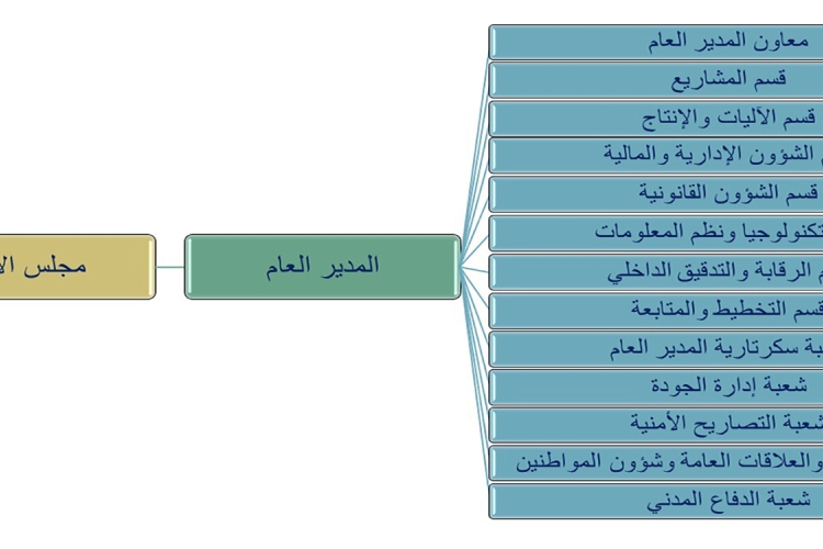 الهيكل التنظيمي